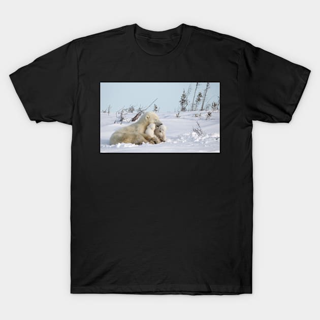 Polar bear family T-Shirt by mjoncheres